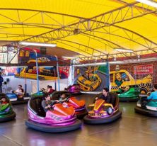 Bumper Car